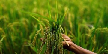 Indian Agriculture: Confronting challenges- reaping harvests, BAL Managing Director