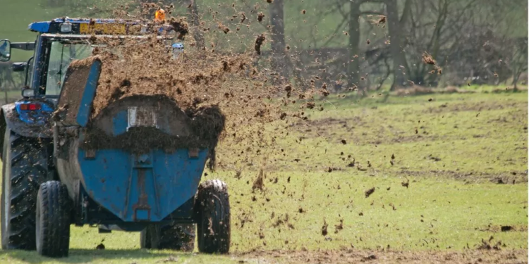 Farming: New Welsh rules on reducing river pollution delayed