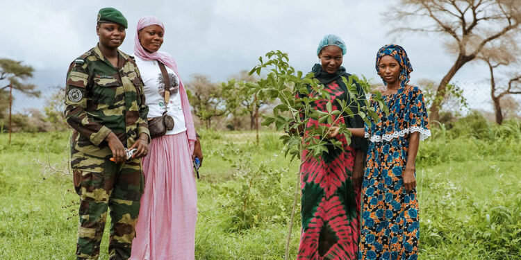 The World’s Increasing Need for Cropped Land