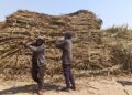 PepsiCo Announces 2nd Round Of Projects Funded By Its Global Agriculture Accelerator