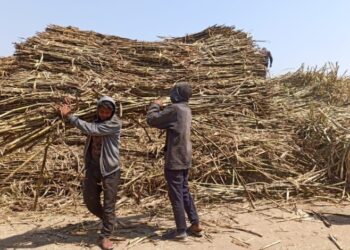 PepsiCo Announces 2nd Round Of Projects Funded By Its Global Agriculture Accelerator