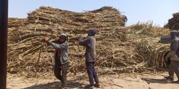 PepsiCo Announces 2nd Round Of Projects Funded By Its Global Agriculture Accelerator