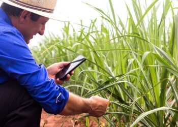 UNCTAD awards Brazil, Egypt and Lesotho agencies for promoting sustainable investment in agriculture