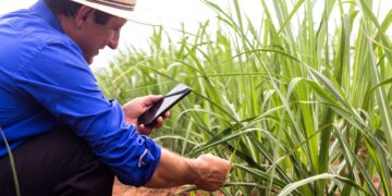 UNCTAD awards Brazil, Egypt and Lesotho agencies for promoting sustainable investment in agriculture