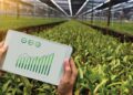 Agriculture Packaging Market Growth, Overview with Detailed Analysis 2022-2028