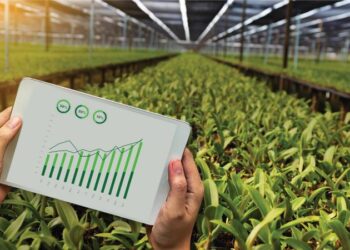 Agriculture Packaging Market Growth, Overview with Detailed Analysis 2022-2028
