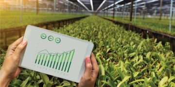 Agriculture Packaging Market Growth, Overview with Detailed Analysis 2022-2028