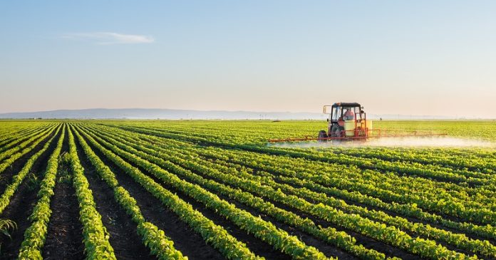 Agriculture: Will Indian farmers now use drones to cultivate their crops?