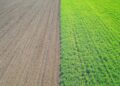 At COP27, a Clarion Call to Scale Up Regenerative Agriculture — Fast