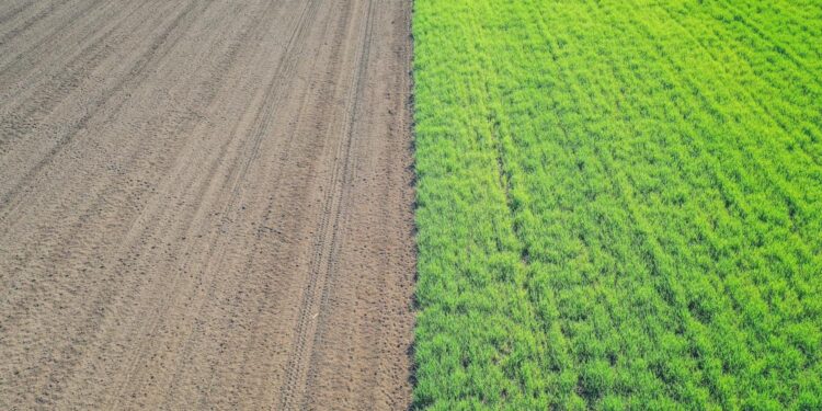 At COP27, a Clarion Call to Scale Up Regenerative Agriculture — Fast