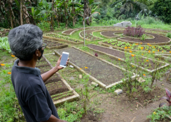 Farming feeds the world. We desperately need to know how to do it better