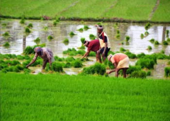Agri finance company Kissandhan eyes 15% of Farmers Producer Organisation business, signs up four FPOs in West Bengal