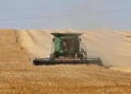 Is future of crops hiding in past? Israel harnessing DNA to enhance food supply