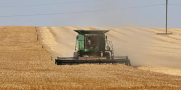 Is future of crops hiding in past? Israel harnessing DNA to enhance food supply