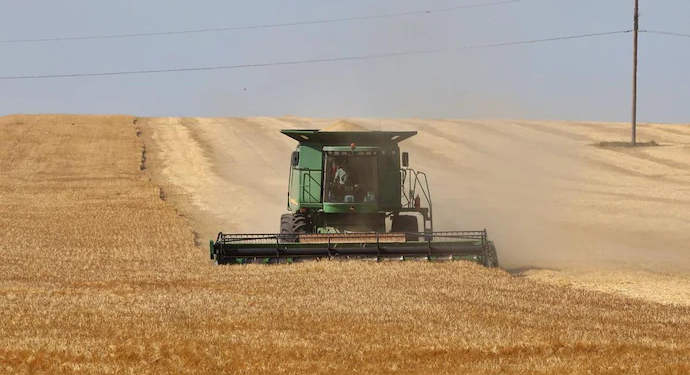 Is future of crops hiding in past? Israel harnessing DNA to enhance food supply