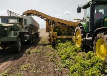 Indian Agritech To Become a $34 Billion Market By 2027: Avendus Capital Study