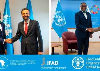 Achieving Zero Hunger in Africa is within reach, say global Agriculture leaders in Rome ahead of 2023 Africa Food Summit in Dakar