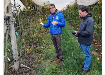 International Fruit Tree Association Tour Takes In the Best of Italian Agriculture