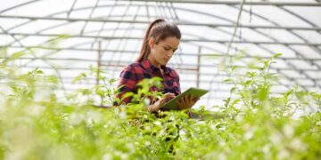 Using Blockchain Technology To Increase Transparency In Agriculture