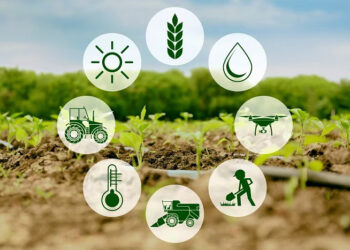 State requires an outlook report to remove uncertainty in agriculture: CM