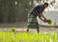 Razzaque: Agriculture in Bangladesh now getting more advanced