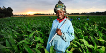 New India-Africa cooperation ushering in an era of sustainable agriculture for the continent
