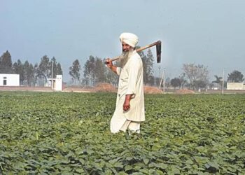Pakistan Army hands 45,000 acres for 'corporate agriculture farming'
