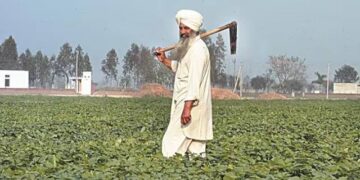 Pakistan Army hands 45,000 acres for 'corporate agriculture farming'