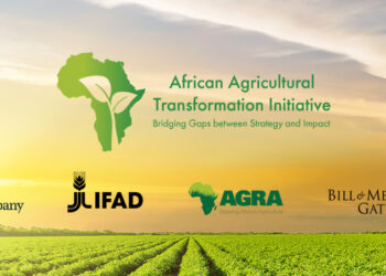 McKinsey backs new agriculture and food initiative in Africa