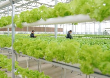 Farmers work at a greenhouse at a modern agricultural science and technology demonstration park in Guanqiao Village of Jiayu County, central China's Hubei Province, April 10, 2019.