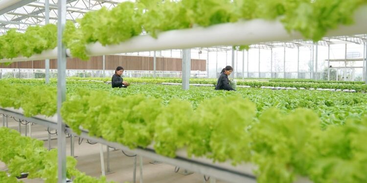 Farmers work at a greenhouse at a modern agricultural science and technology demonstration park in Guanqiao Village of Jiayu County, central China's Hubei Province, April 10, 2019.