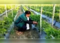 Farming as a career choice? Yes, and right now agriculture needs youth!