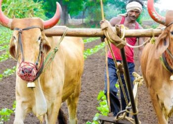 Making agriculture sustainable is good and not for climate alone