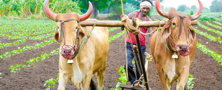 Making agriculture sustainable is good and not for climate alone