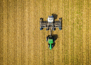 After harvest, a Maryland cornfield is planted with a cover crop—a practice that boosts soil carbon.