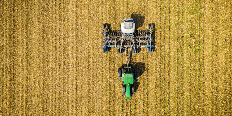After harvest, a Maryland cornfield is planted with a cover crop—a practice that boosts soil carbon.