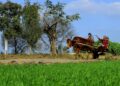 Farmers ride on a cart loaded with grass in a village on the outskirts of Jalandhar, Punjab on January 31, 2023. According the Economic Survey, the performance of the agriculture and allied sector had been buoyant over the past several years due to the measures taken by Centre to augment crop and livestock productivity
