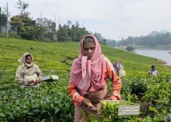 Union Budget 2023-24: Digital push, supply-side incentives for agriculture