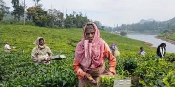 Union Budget 2023-24: Digital push, supply-side incentives for agriculture