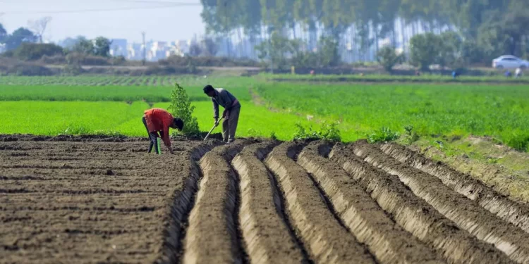 No big push announcements have been made for the farm sector in the Budget