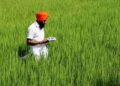 A year of extreme weather events has weighed heavy on India’s agricultural sector