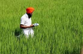 A year of extreme weather events has weighed heavy on India’s agricultural sector