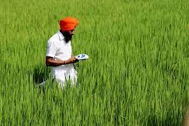 A year of extreme weather events has weighed heavy on India’s agricultural sector