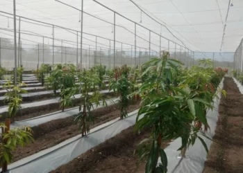 Israel is set to open two Centres of Excellence (CoE) in Jammu and Kashmir.