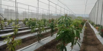 Israel is set to open two Centres of Excellence (CoE) in Jammu and Kashmir.