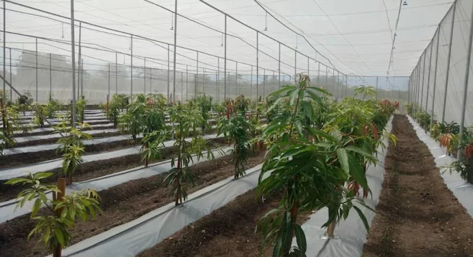 Israel is set to open two Centres of Excellence (CoE) in Jammu and Kashmir.