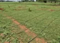 Currently, approximately 17 per cent of the agricultural land in Maharashtra is under micro irrigation.