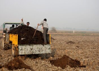 Union Budget 2023-24: India’s farmers can take to organic agriculture with proper support