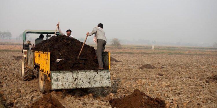 Union Budget 2023-24: India’s farmers can take to organic agriculture with proper support