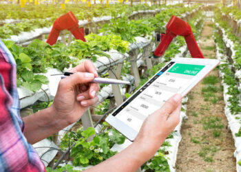 Experts: Technology must to boost agriculture sector